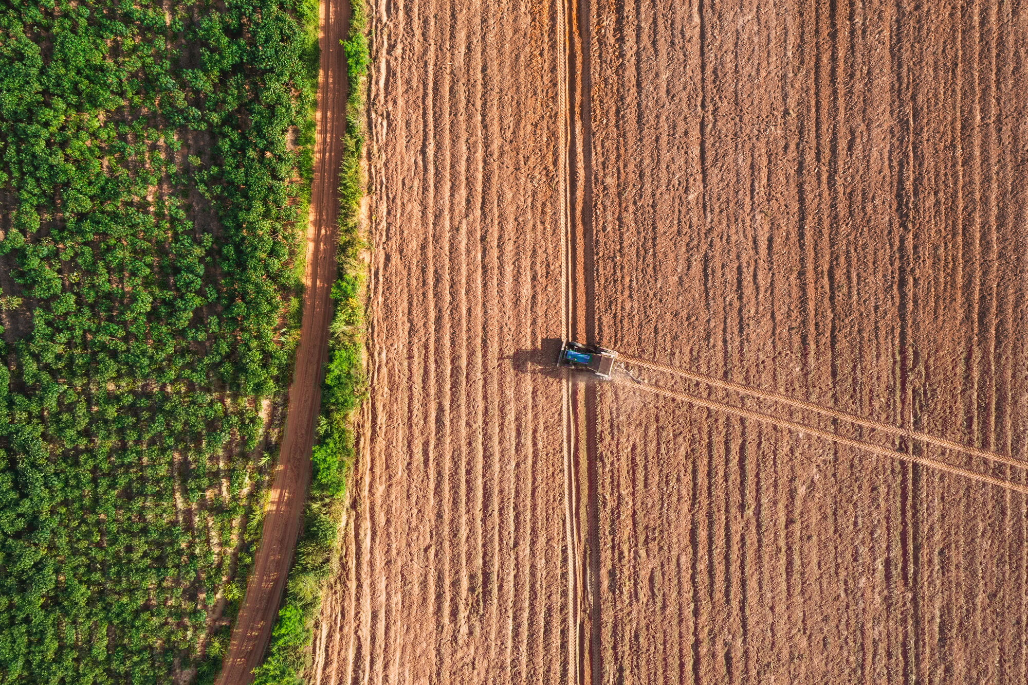 Aerial top view tractor plowing a field , preparing the land for a wheat planting operation.