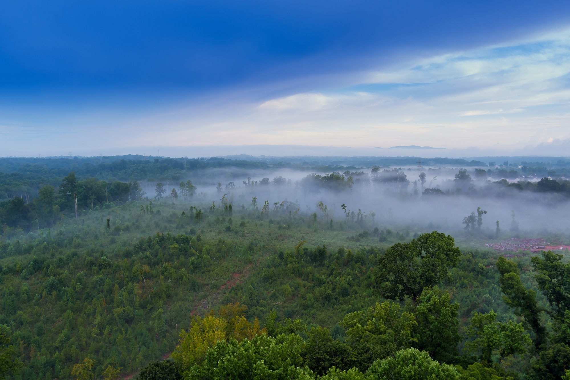 As the summer season is in full swing in South Carolina, there is lots of fog in the mornings over